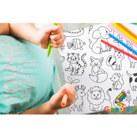 GigaDraw Animal Gyerek színező Start csomag